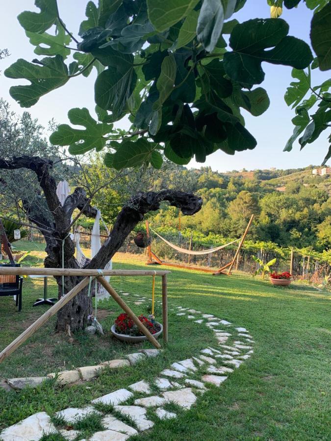 Villa Sarno Монтесильвано Экстерьер фото