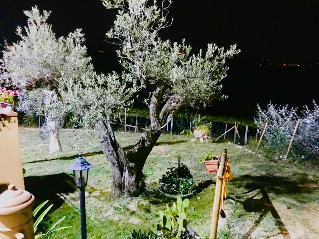 Villa Sarno Монтесильвано Экстерьер фото